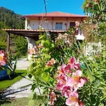Hébergement de vacances Casa Da Quinta Do Porto *