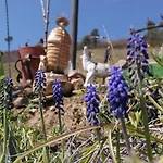Hébergement de vacances Casa Da Quinta Do Porto