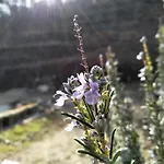 Hébergement de vacances Casa Da Quinta Do Porto Lamego