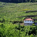 Casa Da Quinta Do Porto Hébergement de vacances *