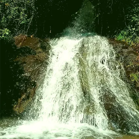 Hébergement de vacances Casa Da Quinta Do Porto *