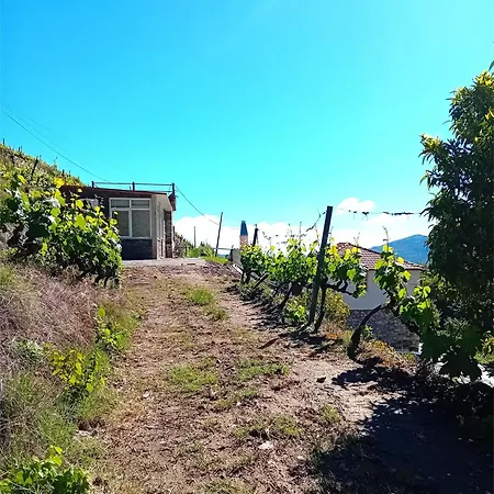 Hébergement de vacances Casa Da Quinta Do Porto