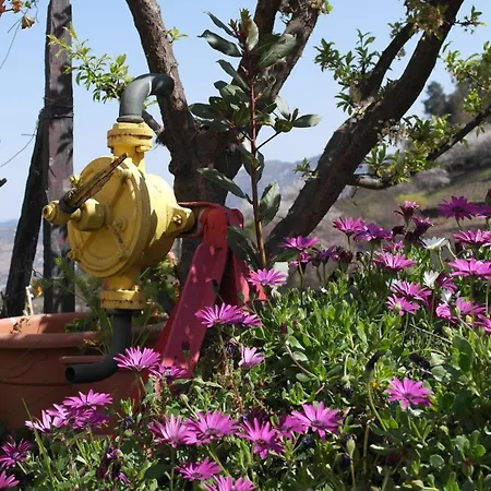 Hébergement de vacances Casa Da Quinta Do Porto *