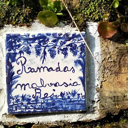 Casa Da Quinta Do Porto Hébergement de vacances *