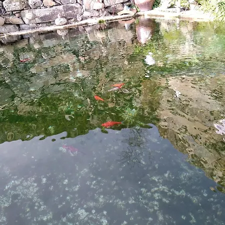 Casa Da Quinta Do Porto *