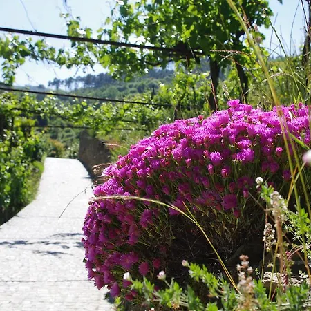 Casa Da Quinta Do Porto Hébergement de vacances *