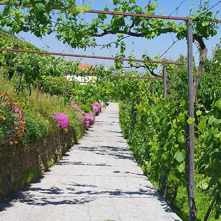 Casa Da Quinta Do Porto * Lamego