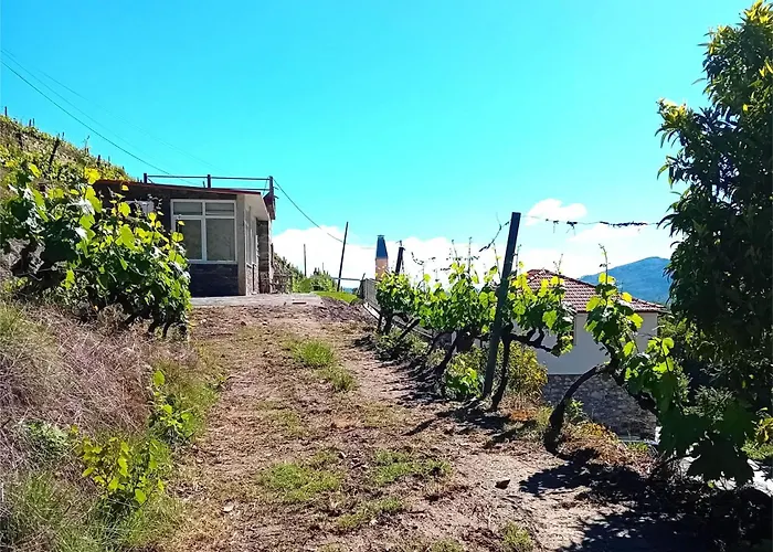 Holiday home Casa Da Quinta Do Porto