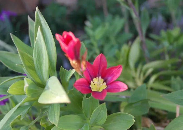 Casa Da Quinta Do Porto Holiday home Lamego