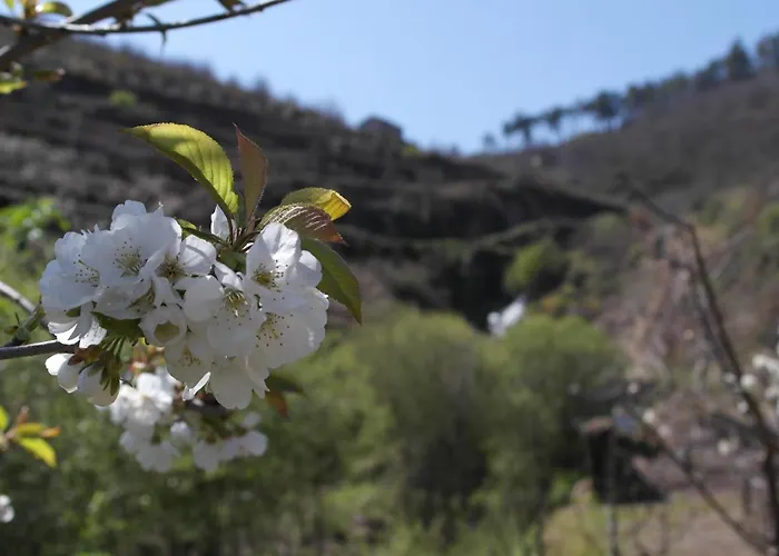 Casa Da Quinta Do Porto Holiday home *