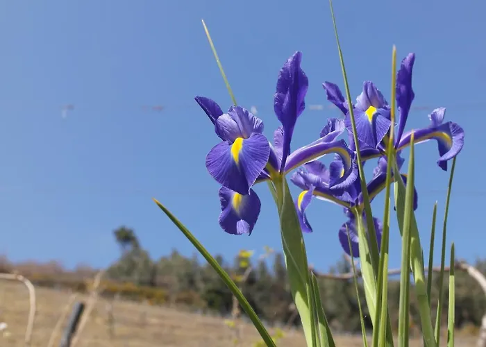 Casa Da Quinta Do Porto Feriehus Lamego