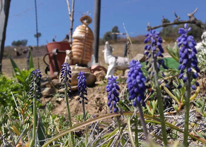 Feriehus Casa Da Quinta Do Porto