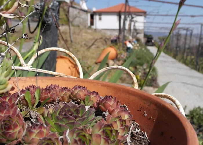 Casa Da Quinta Do Porto Lamego