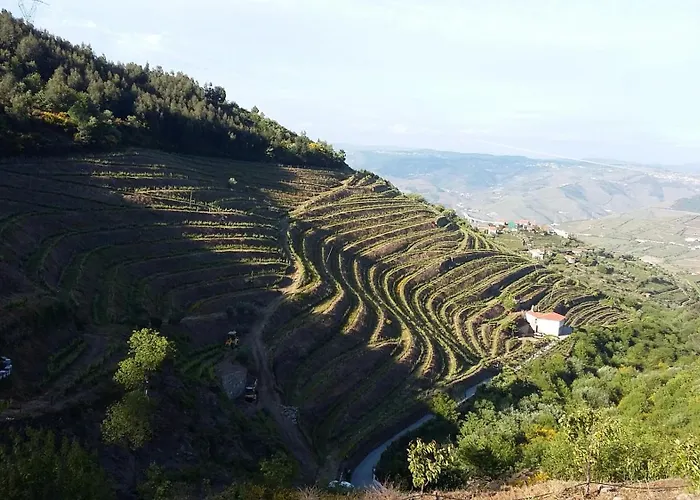 Holiday home Casa Da Quinta Do Porto Lamego