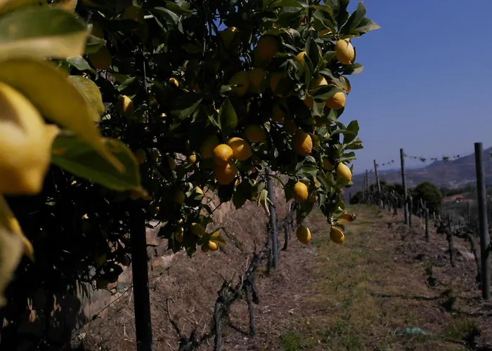 Casa Da Quinta Do Porto Holiday home