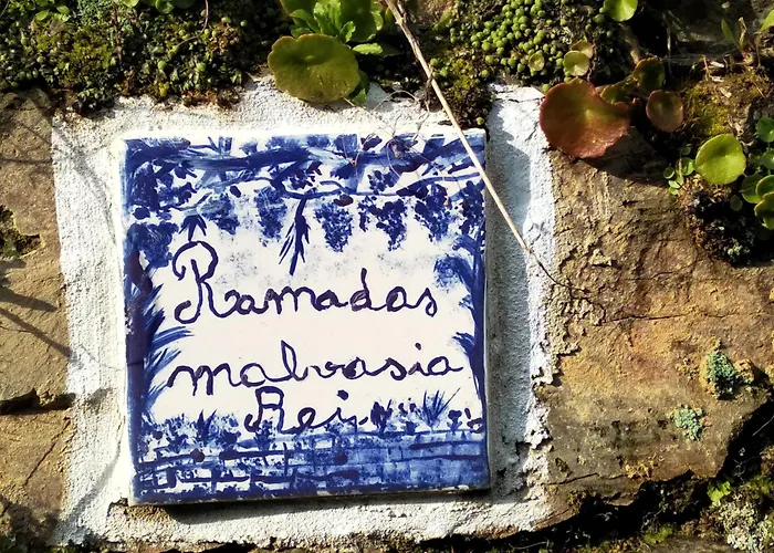 Casa Da Quinta Do Porto Feriehus *