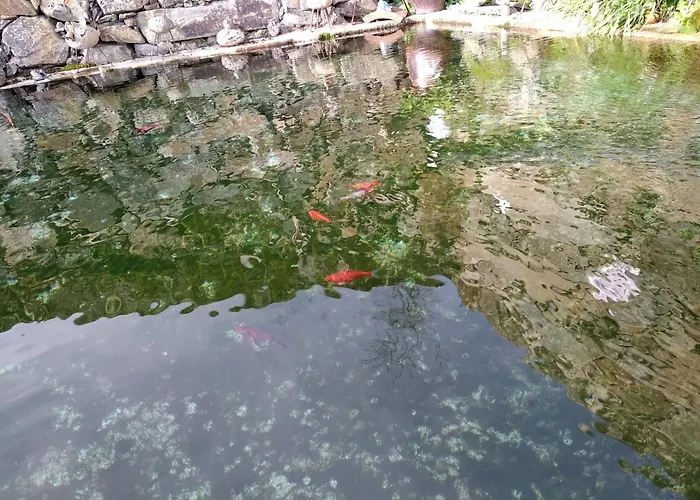 Casa Da Quinta Do Porto *