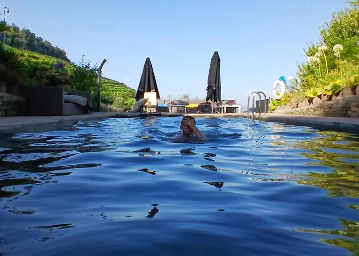 Holiday home Casa Da Quinta Do Porto Lamego