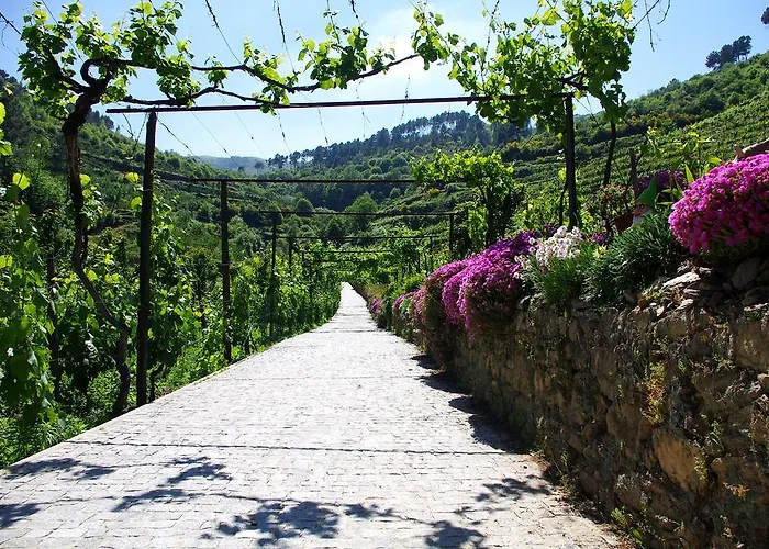 Prázdninový dům Casa Da Quinta Do Porto *