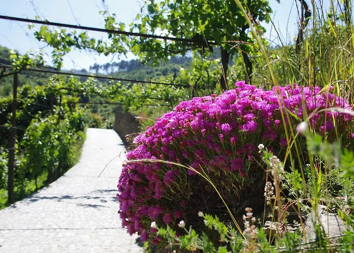 Casa Da Quinta Do Porto Prázdninový dům *