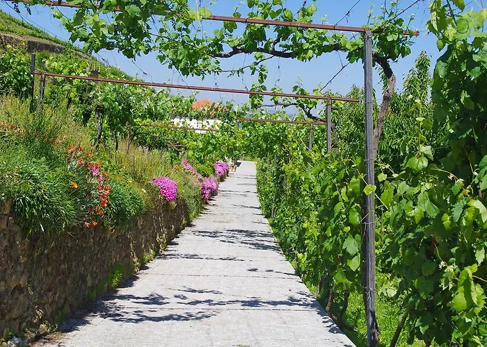 Casa Da Quinta Do Porto * Lamego